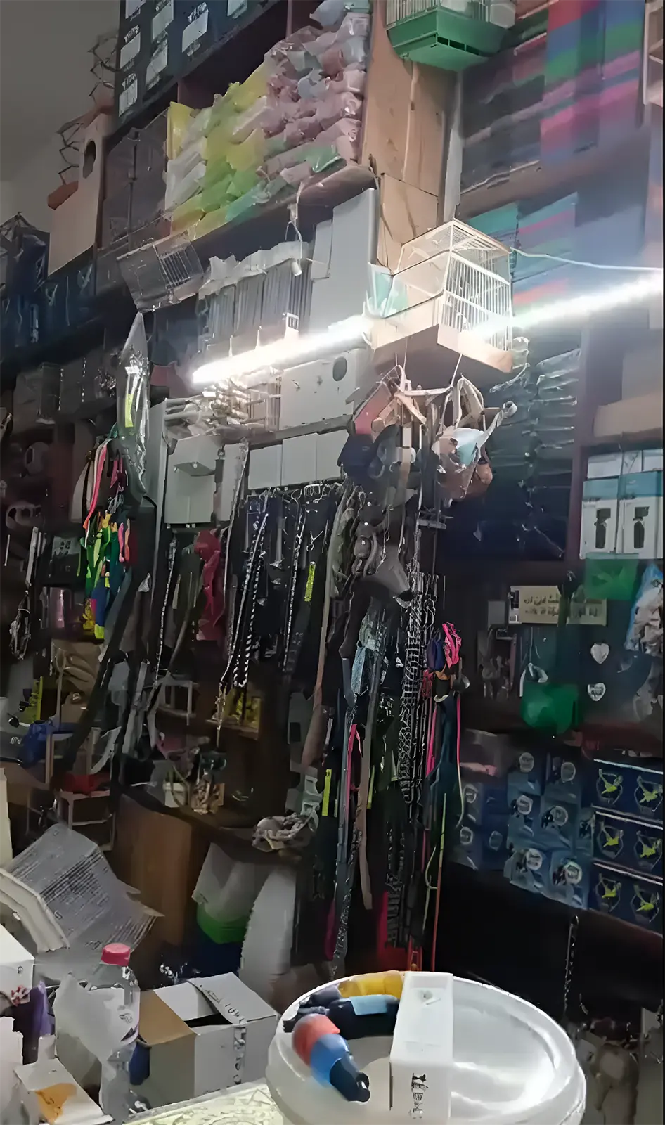 الأعشاش